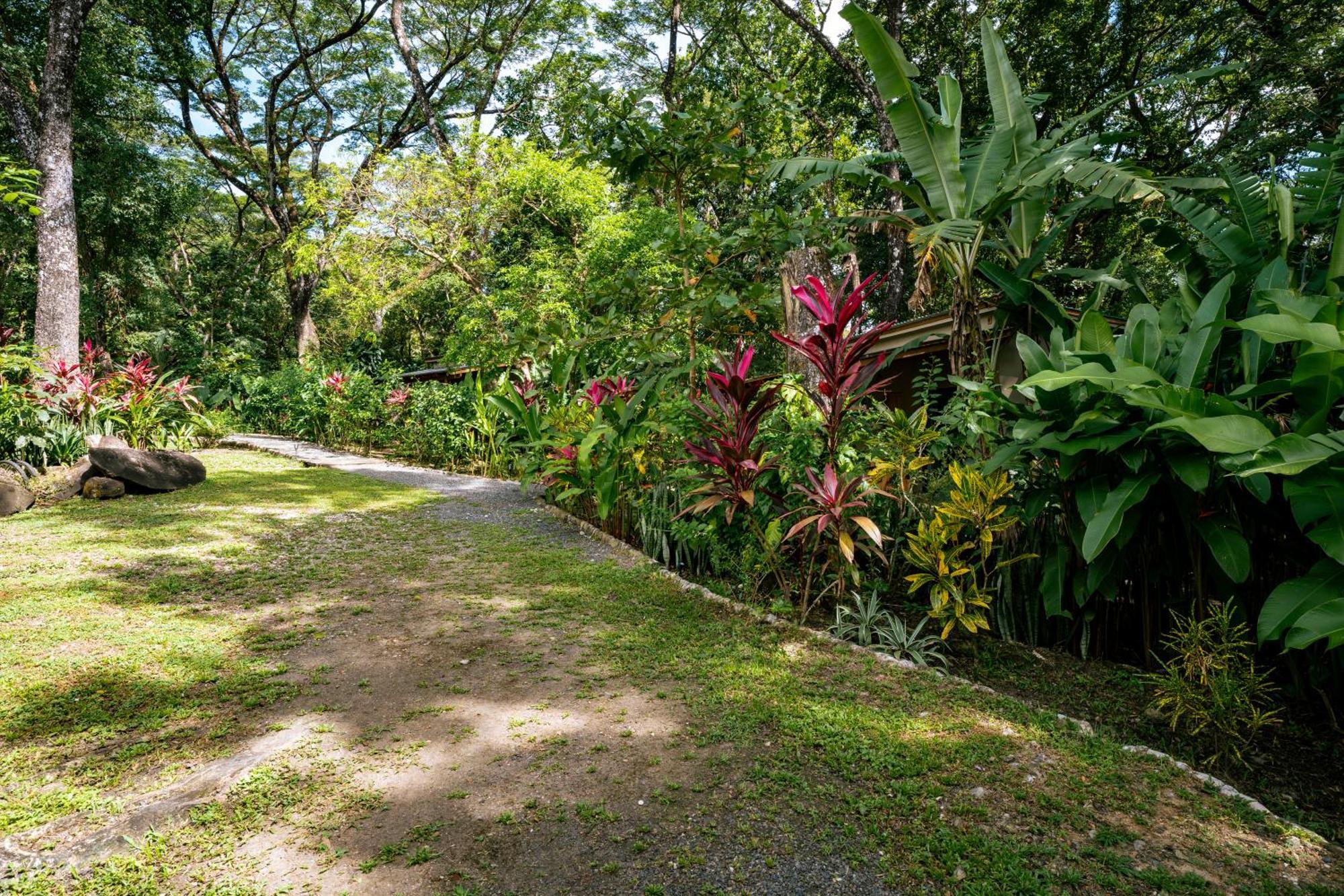 Feeling Trees Jungle Lodge Cabuya  Екстер'єр фото