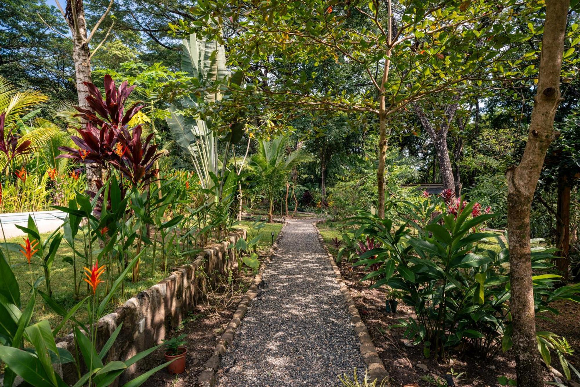Feeling Trees Jungle Lodge Cabuya  Екстер'єр фото