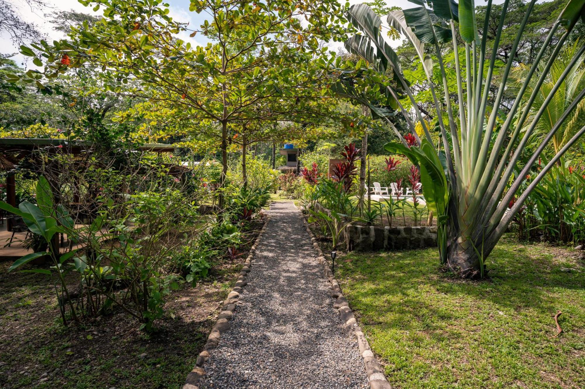 Feeling Trees Jungle Lodge Cabuya  Екстер'єр фото