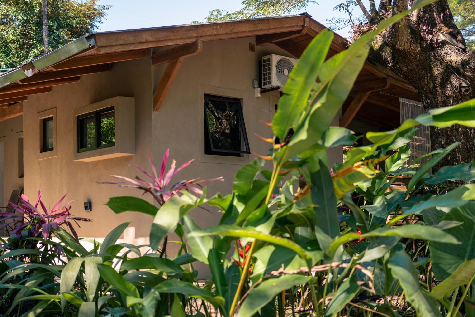 Feeling Trees Jungle Lodge Cabuya  Екстер'єр фото