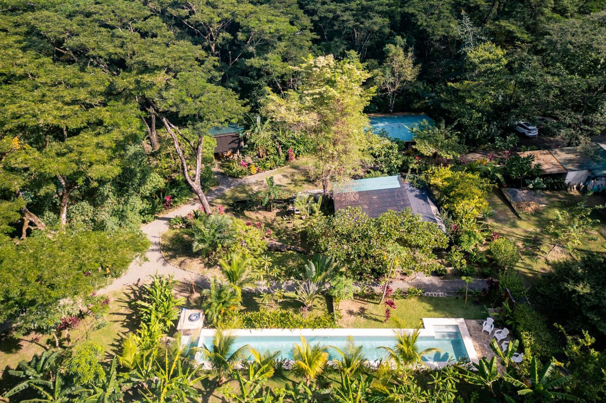Feeling Trees Jungle Lodge Cabuya  Екстер'єр фото